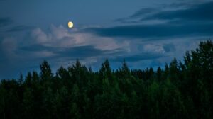 Lire la suite à propos de l’article La Lune en signe d’air… Respirons