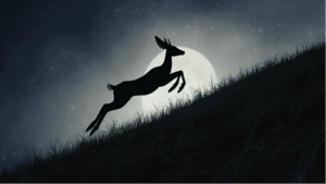 Lire la suite à propos de l’article La Lune et la Biche